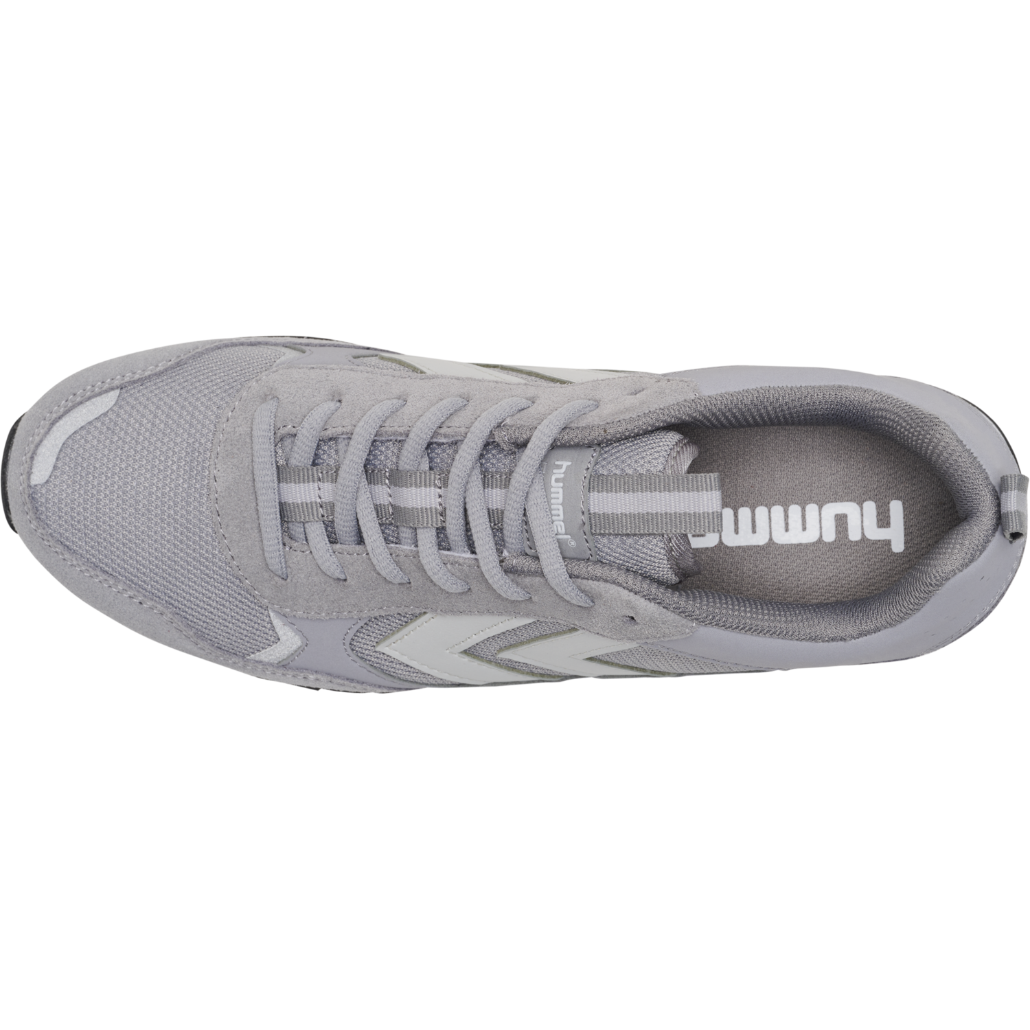 FALLON, SHARKSKIN, packshot