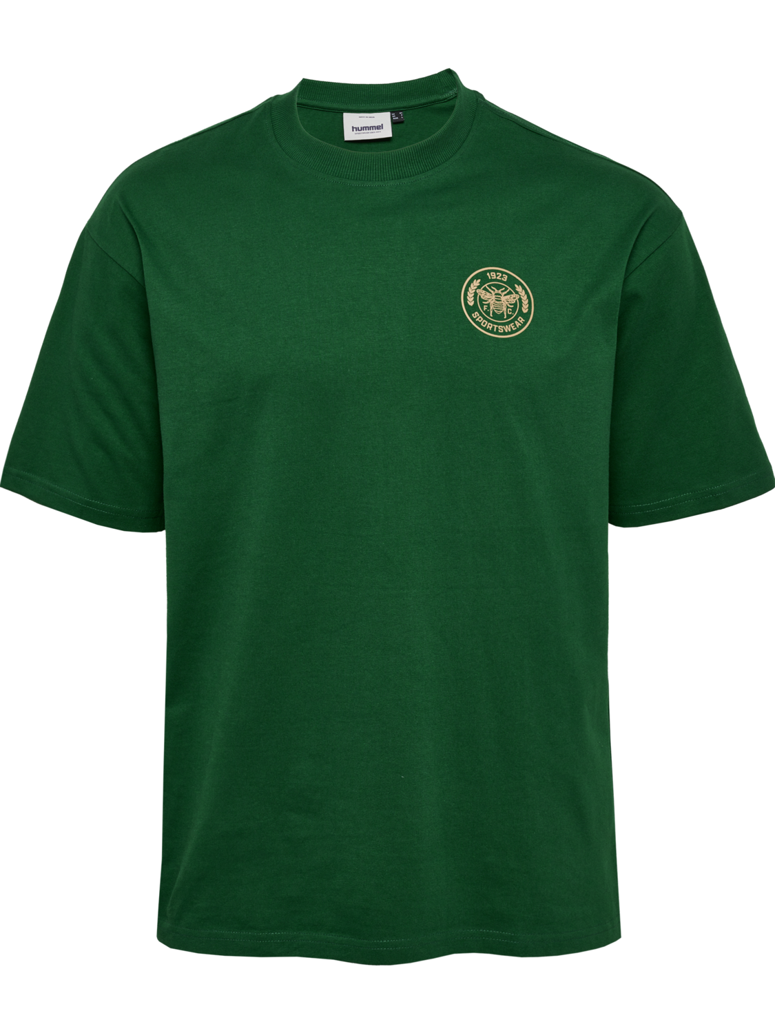 hmlSWARM LOOSE T-SHIRT, EDEN, packshot