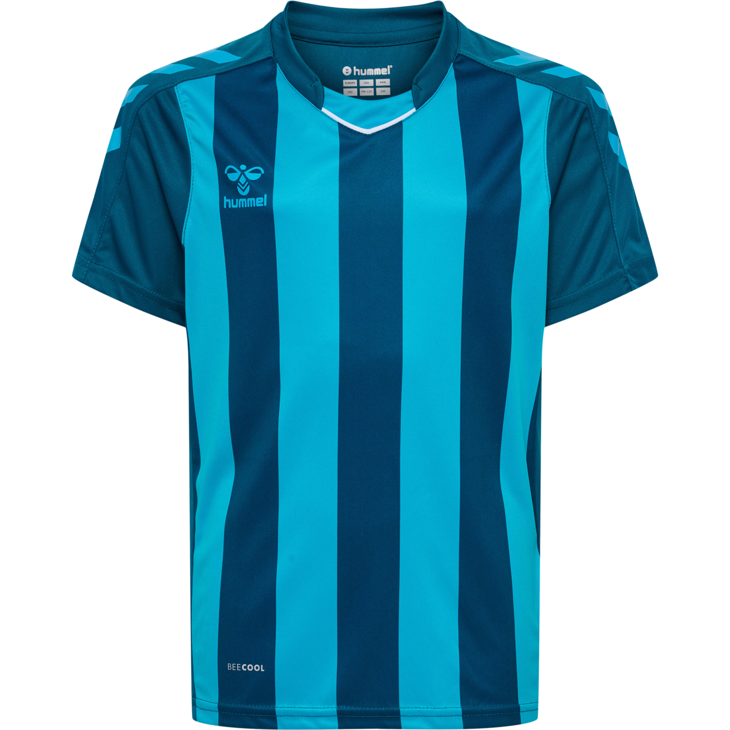 hmlCORE XK STRIPED JERSEY S/S KIDS, BLUE CORAL/BLUE DANUBE, packshot