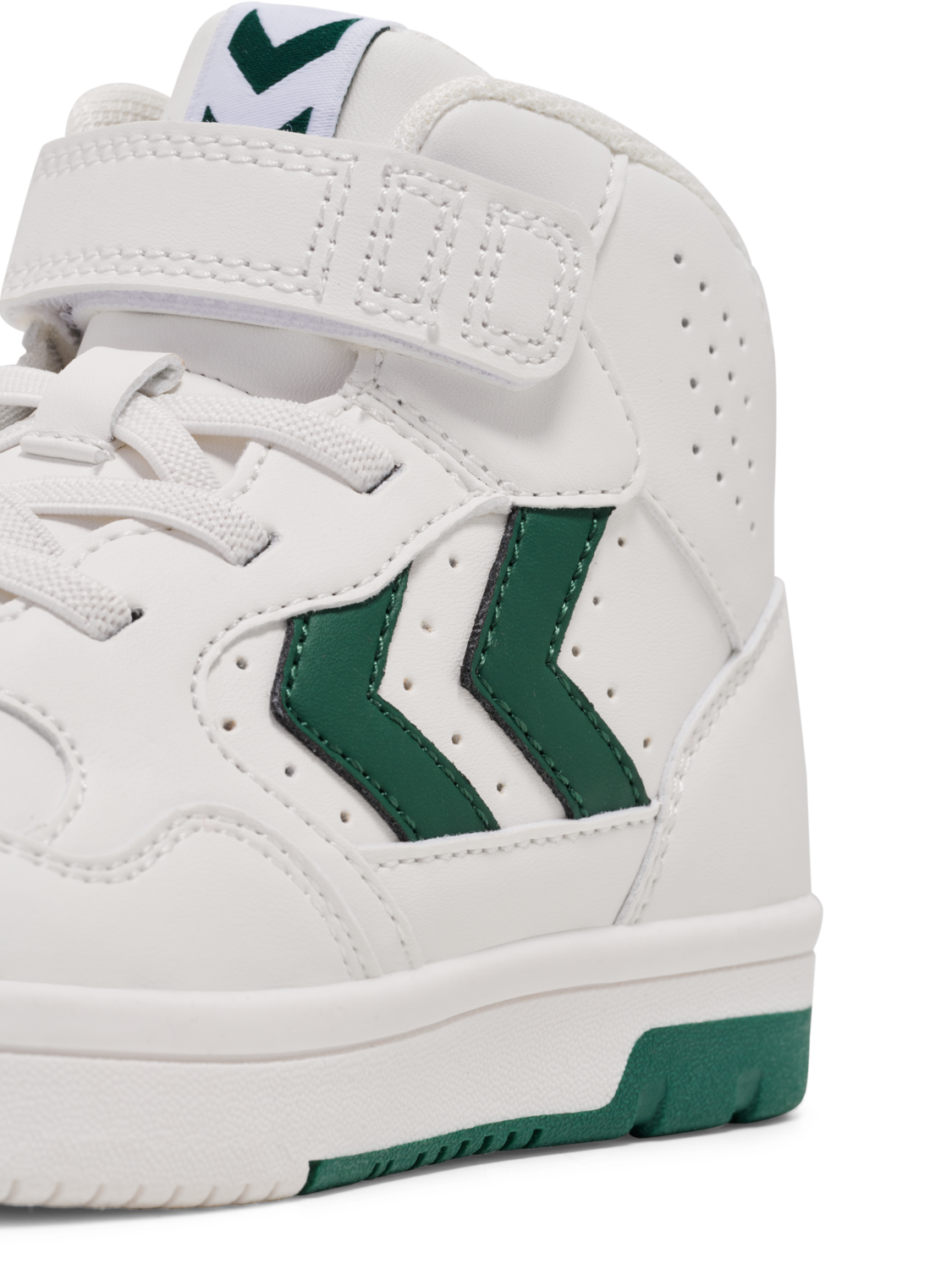 CAMDEN HIGH JR, GARDEN TOPIARY, packshot