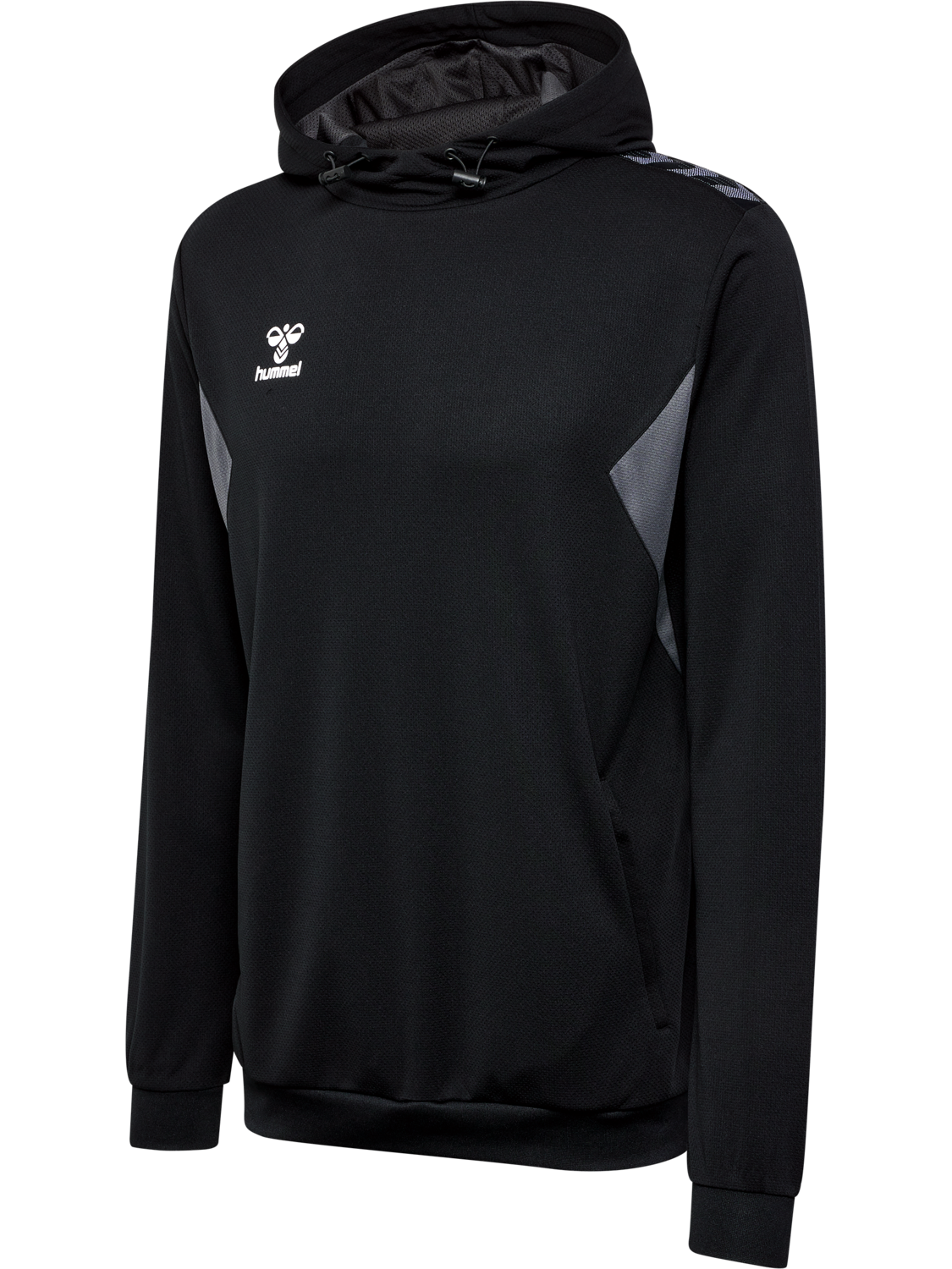 hmlAUTHENTIC PL HOODIE, BLACK, packshot