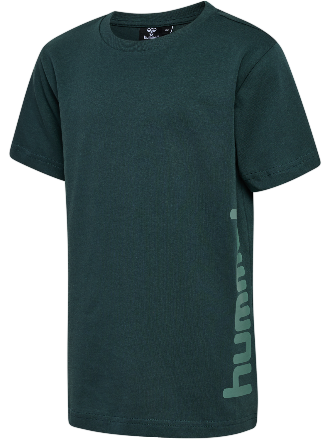 hmlPRINT T-SHIRT S/S, GREEN GABLES, packshot