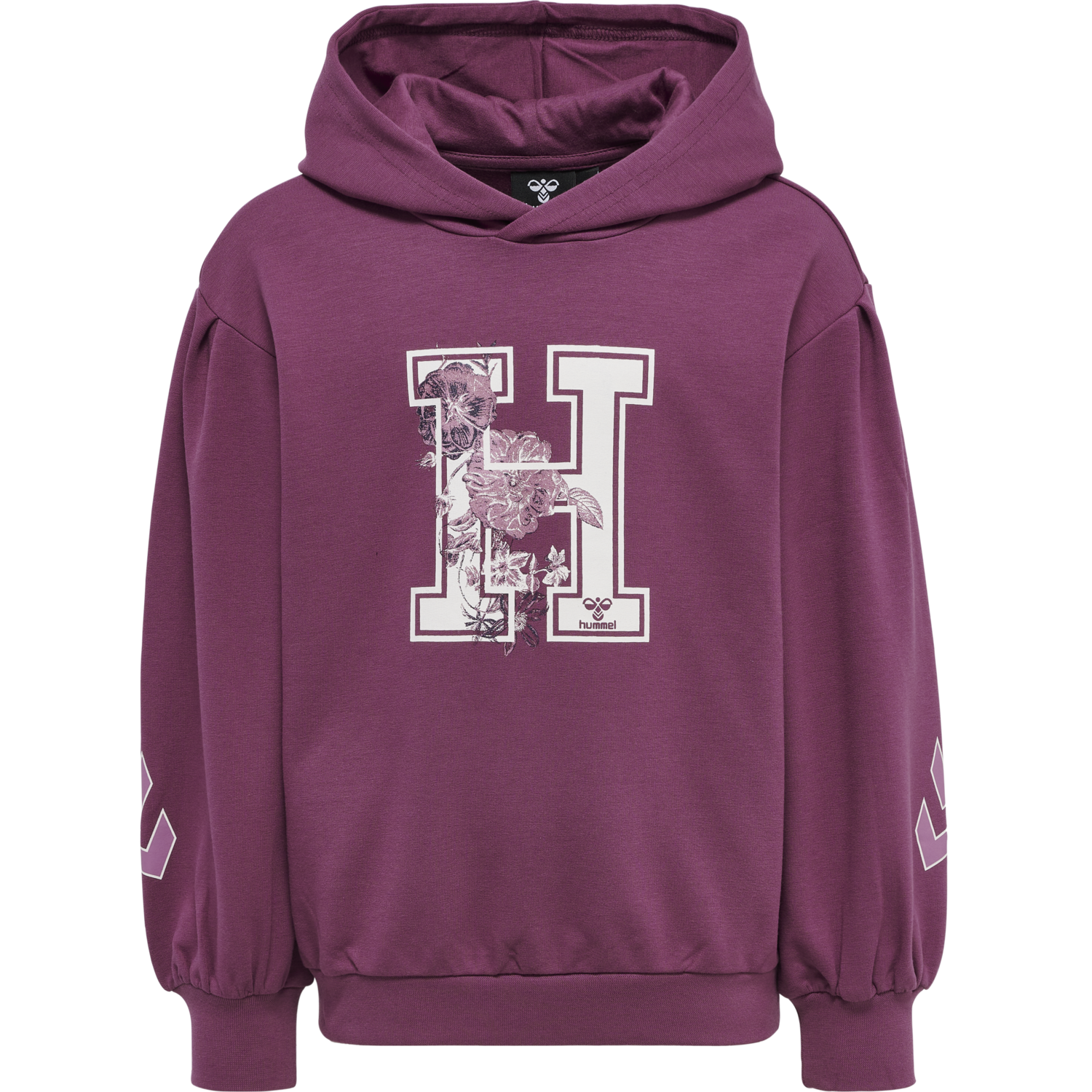 hmlASTROLOGY HOODIE, 4758, packshot