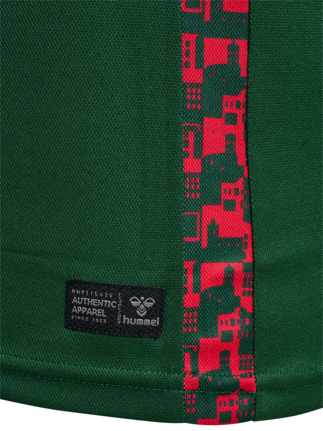 SDE 24/25 COMMUNITY JERSEY S/S, EDEN, packshot