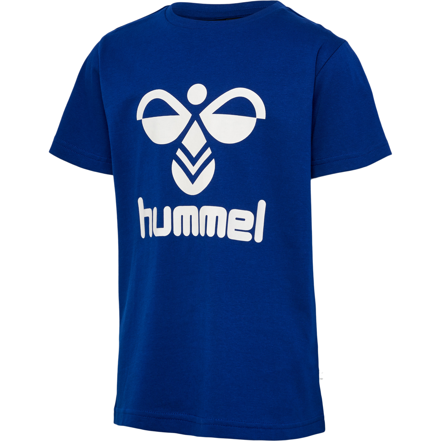 hmlTRES T-SHIRT S/S 2-PK, DEEP TEAL/SODALITE BLUE, packshot